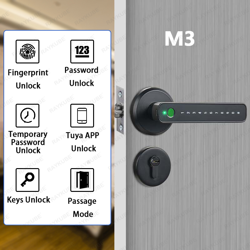 RAYKUBE M3 Tuya BLE Smart Fing - Smart Garden Gate Lock recensione e prezzo
