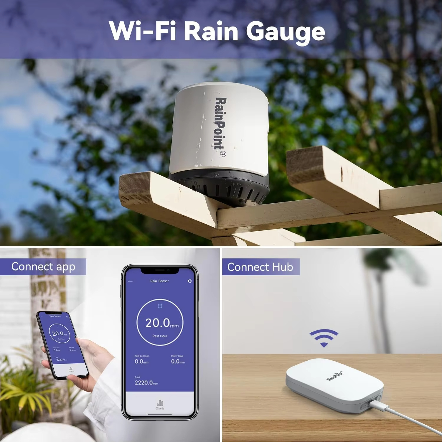 Wireless Digital Rain Gauge Ou - Rain Gauge Digital recensione e prezzo