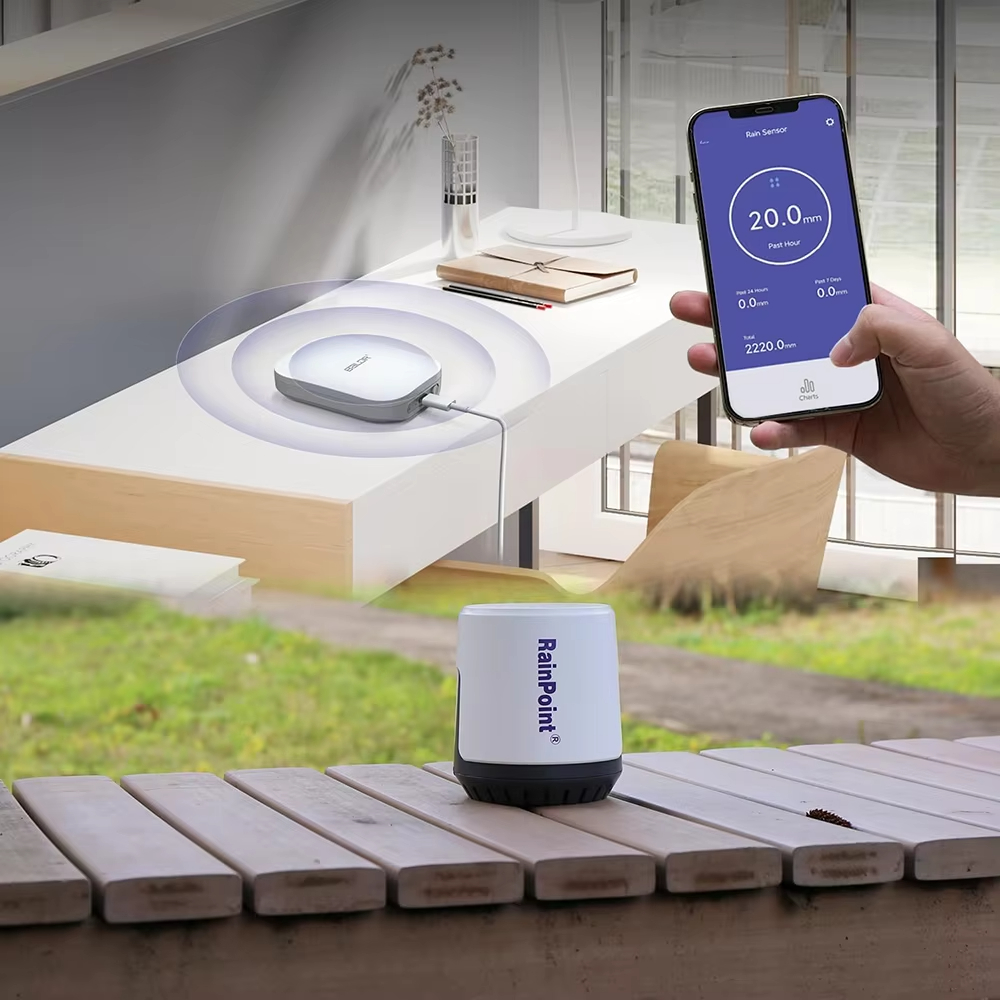 Wireless Digital Rain Gauge Ou - Rain Gauge Digital recensione e prezzo