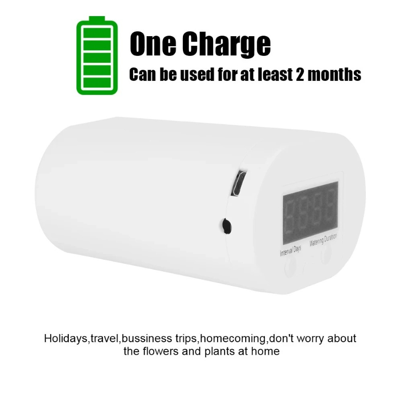 Intelligent Automatic Double P - Smart Garden Devices recensione e prezzo