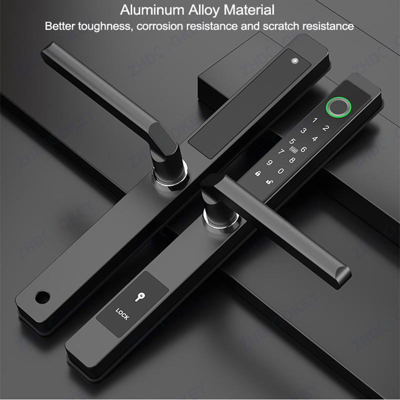 ZHDCOOKEY Biometric Digital Do - Smart Garden Gate Lock recensione e prezzo