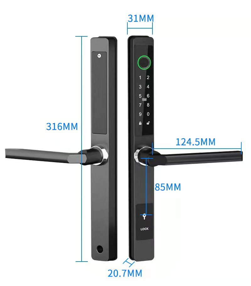 ZHDCOOKEY Biometric Digital Do - Smart Garden Gate Lock recensione e prezzo