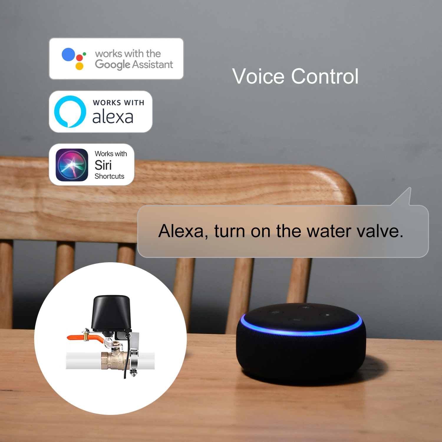 ZigBee Water/Gas Valve Remote  - Smart Garden Water Timer recensione e prezzo