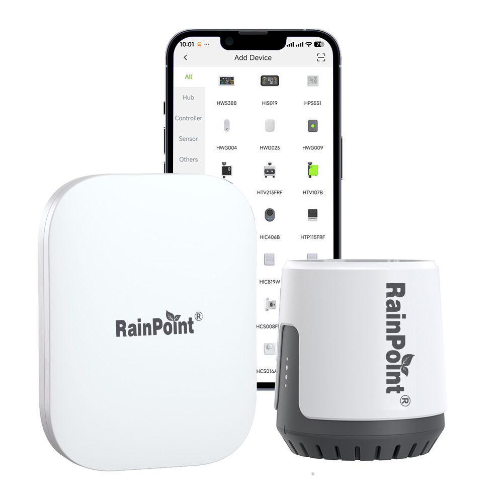 RAINPOINT Wireless Digital Rai - Rain Gauge Digital recensione e prezzo