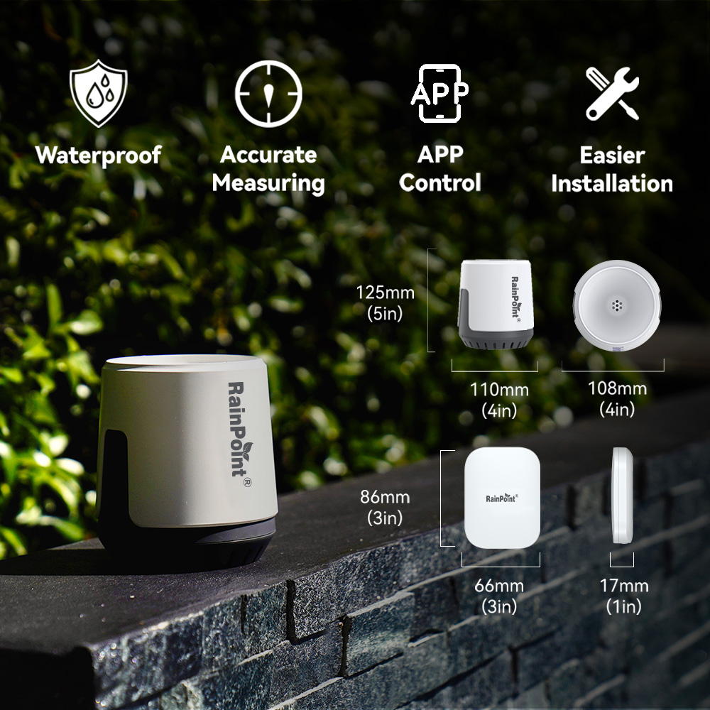 RAINPOINT Wireless Digital Rai - Rain Gauge Digital recensione e prezzo