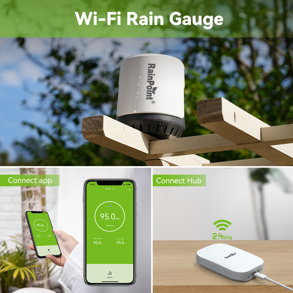 RAINPOINT Wireless Digital Rai - Rain Gauge Digital recensione e prezzo