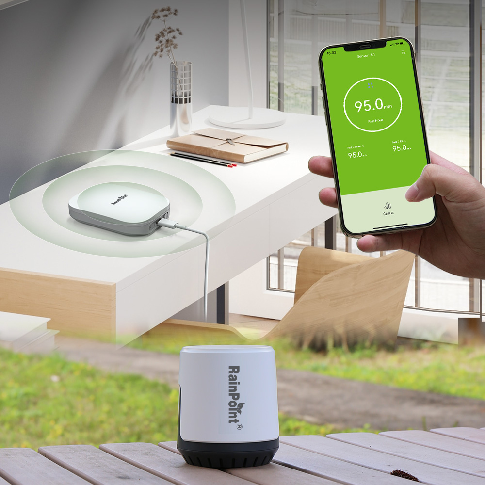 RAINPOINT Wireless Digital Rai - Rain Gauge Digital recensione e prezzo