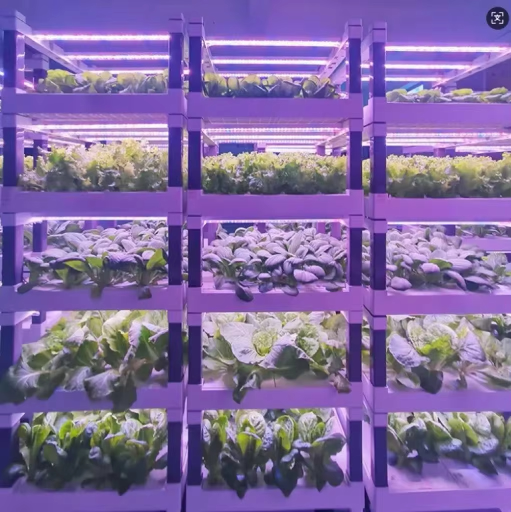 Hydroponic Grow System Greenho - Smart Garden Devices recensione e prezzo