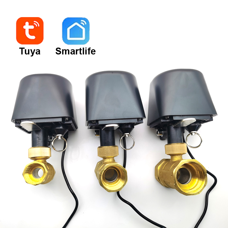 Tuya WiFi or Zigbee Water Valv - Smart Garden Water Timer recensione e prezzo